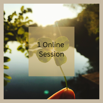 1 SESSION (75 minutes)