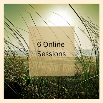SHINE PACKAGE: 6 Sessions (75 minutes each)